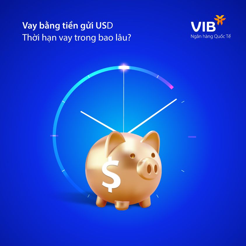 CÓ THỂ VAY BẰNG TIỀN GỬI USD TRONG BAO LÂU.jpg